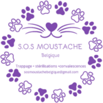 Logo S.O.S Moustache Belgique