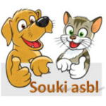 Logo Souki asbl